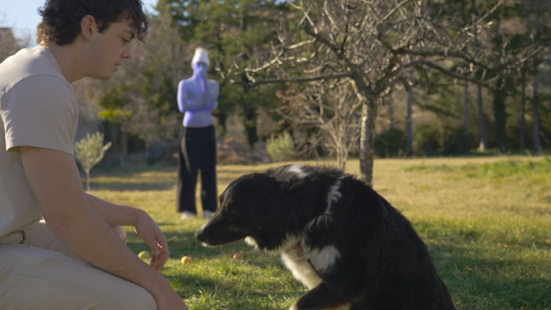 LA POMME ET LES NOIX - Image 2