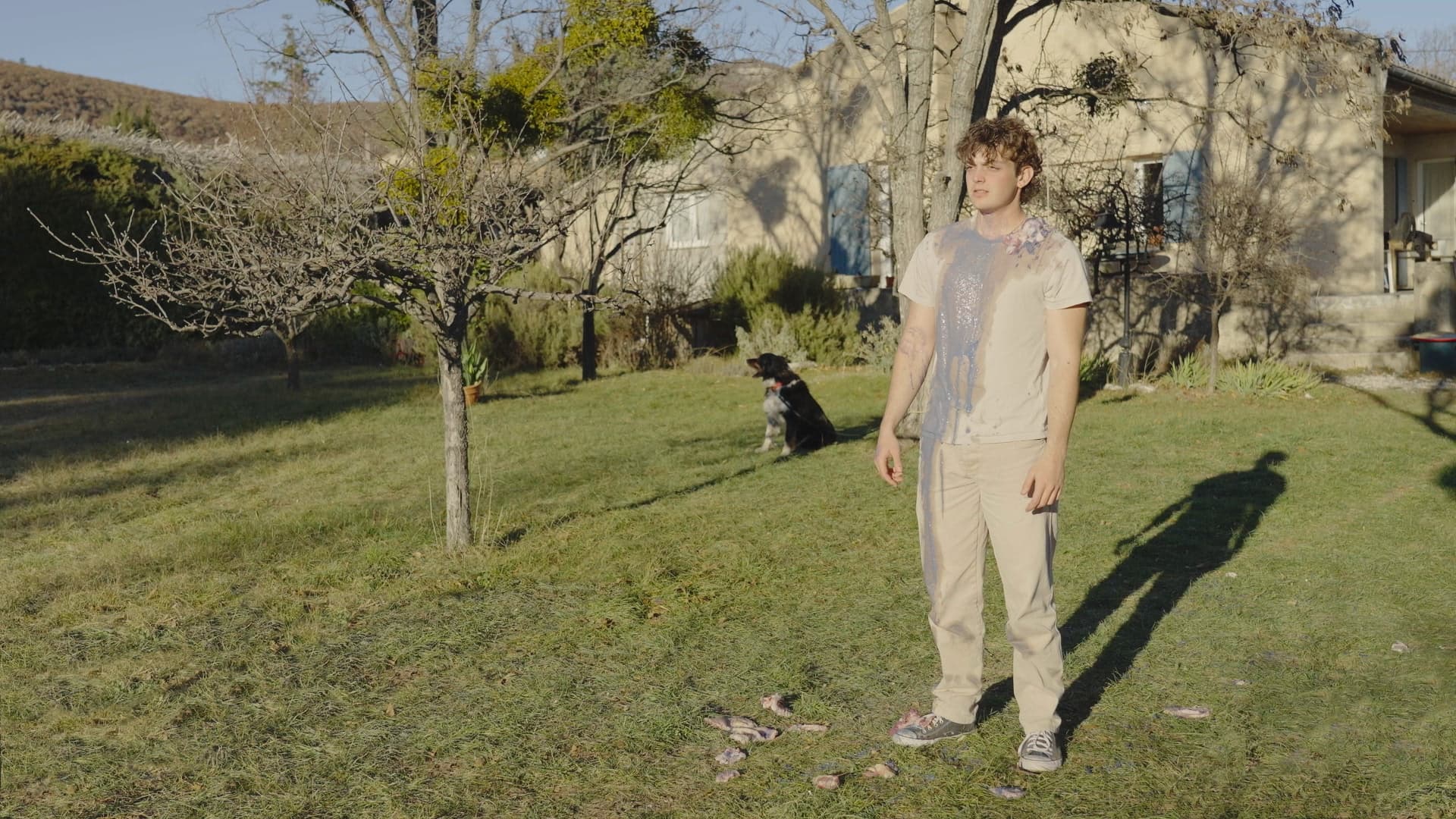 LA POMME ET LES NOIX - Image 5