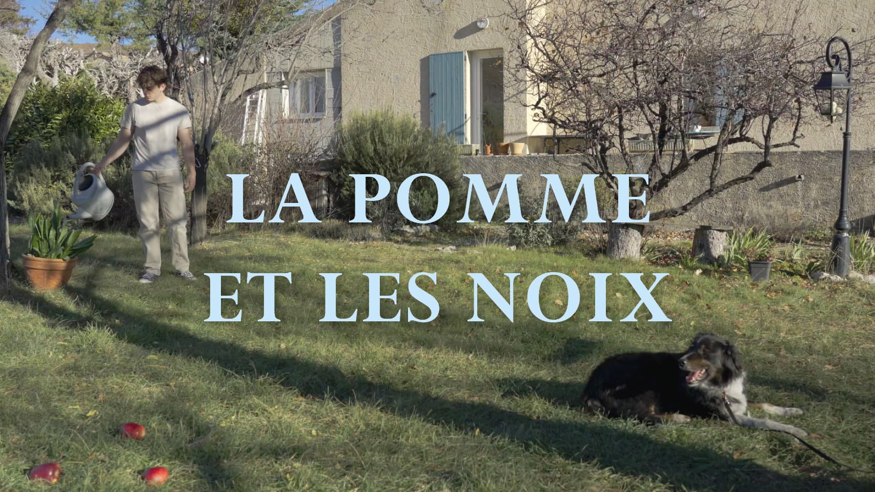 LA POMME ET LES NOIX
